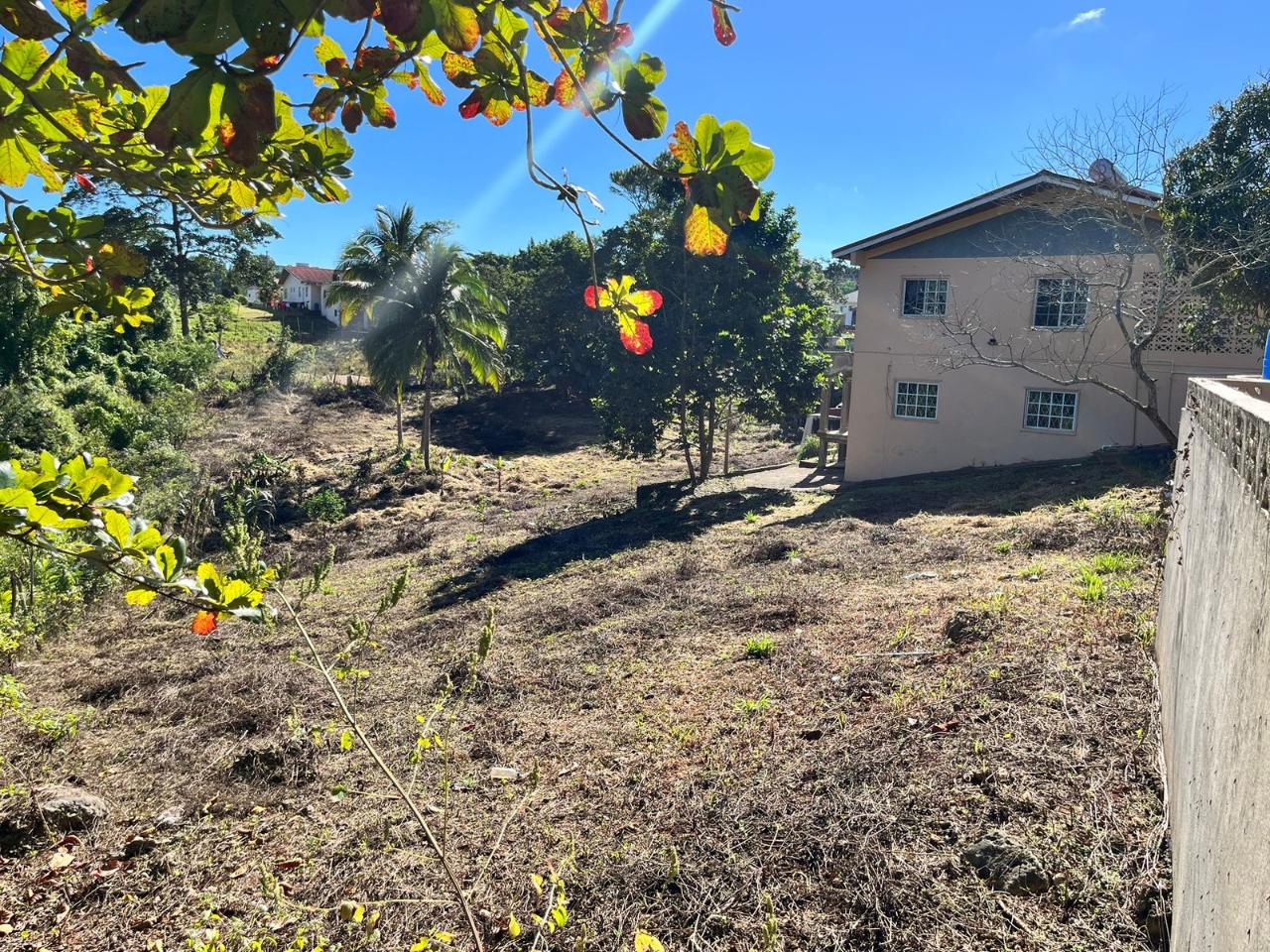 Eighteenth image of 58 Cedar Gardens rd in Mandeville, Manchester, Jamaica - property is For Sale