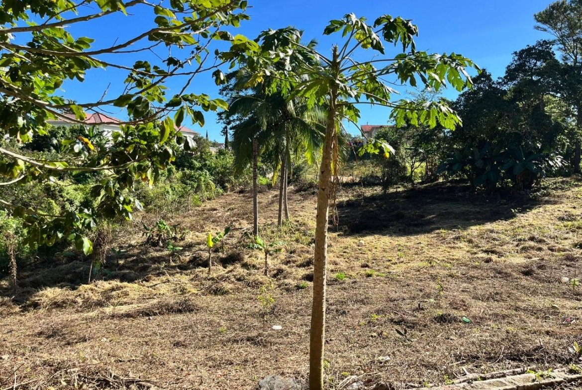 Nineteenth image of 58 Cedar Gardens rd in Mandeville, Manchester, Jamaica - property is For Sale