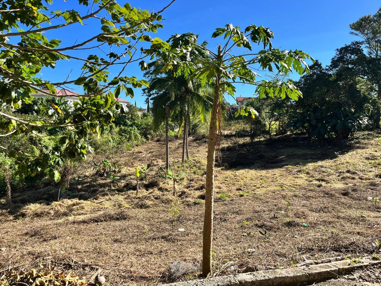 Nineteenth image of 58 Cedar Gardens rd in Mandeville, Manchester, Jamaica - property is For Sale