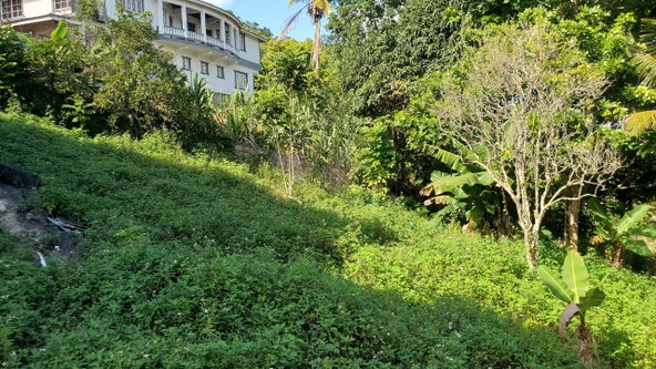 Sixth image of 8 Glenmore Drive, Claremont in Claremont, St. Ann, Jamaica - property is For Sale