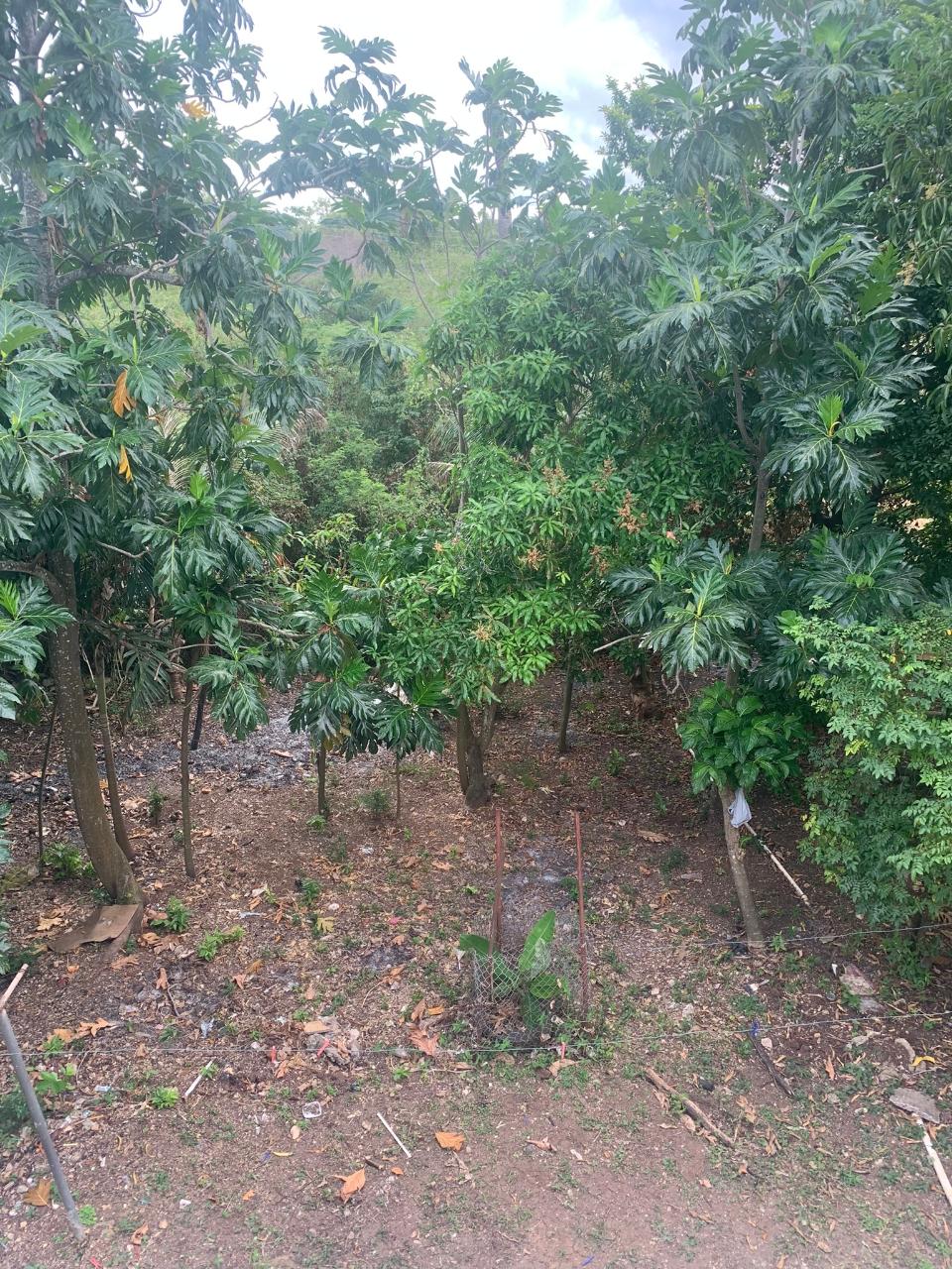 Eighth image of 886 Poinseta Path in Marlie Mount, St. Catherine, Jamaica - property is For Sale