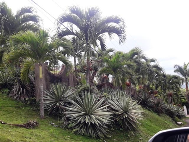 Second image of Torada Heights in Montego Bay, St. James, Jamaica - property is For Sale