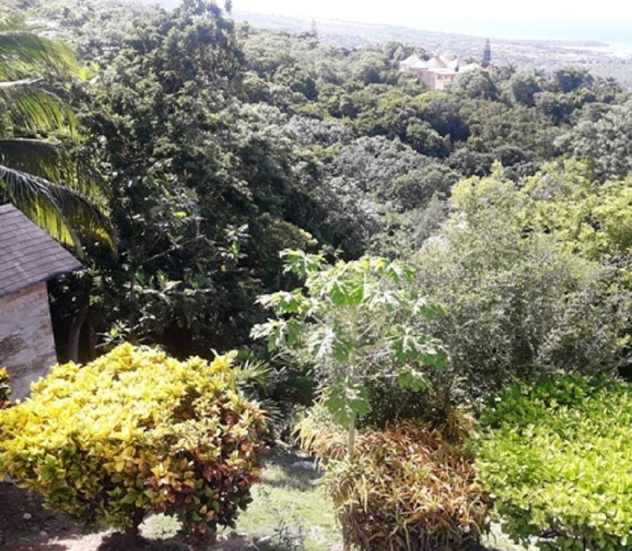 Ninth image of Torada Heights in Montego Bay, St. James, Jamaica - property is For Sale