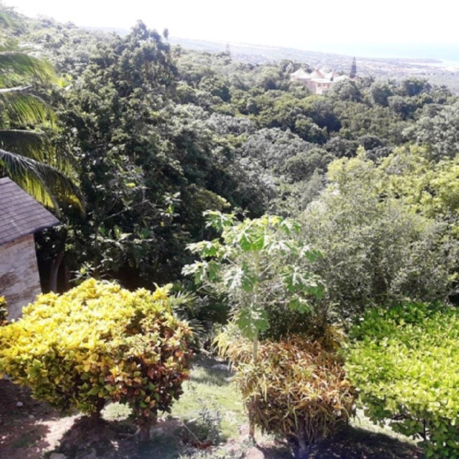 Ninth image of Torada Heights in Montego Bay, St. James, Jamaica - property is For Sale