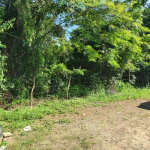 First image of Lot 121 Goldington Avenue , Ocho in Ocho Rios, St. Ann, Jamaica - property is For Sale