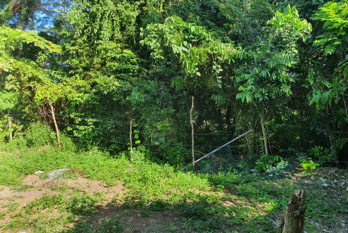 Fifth image of Lot 121 Goldington Avenue , Ocho in Ocho Rios, St. Ann, Jamaica - property is For Sale