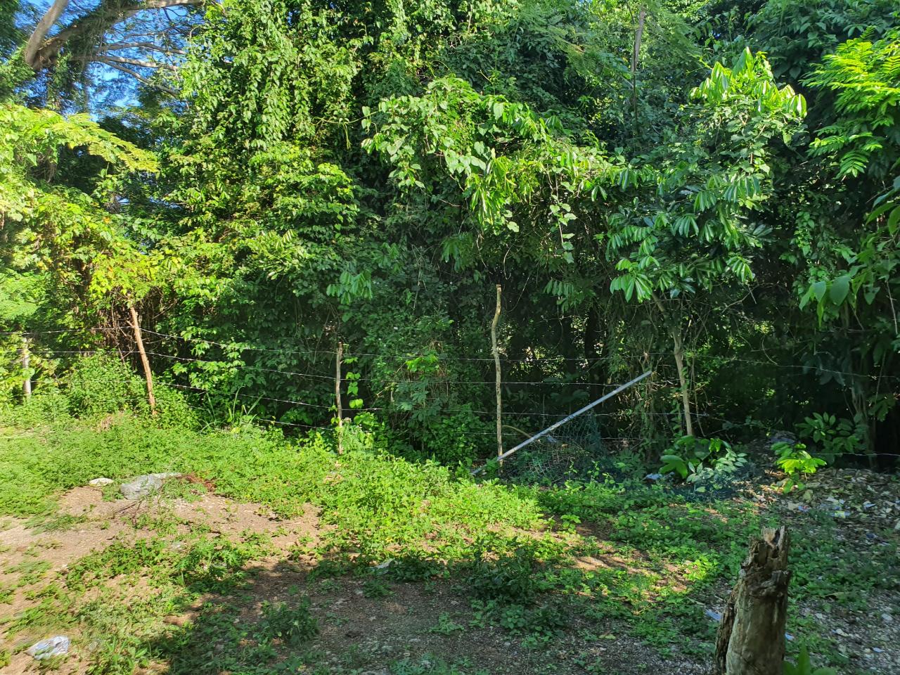 Lot-121-Barnett-Housing-Scheme-Prime-Residential-Land-in-Ocho-Rios Fifth image of Lot 121 Goldington Avenue , Ocho in Ocho Rios, St. Ann, Jamaica - property is For Sale