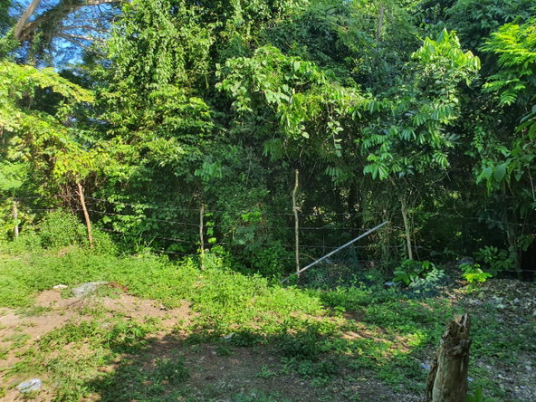Fifth image of Lot 121 Goldington Avenue , Ocho in Ocho Rios, St. Ann, Jamaica - property is For Sale
