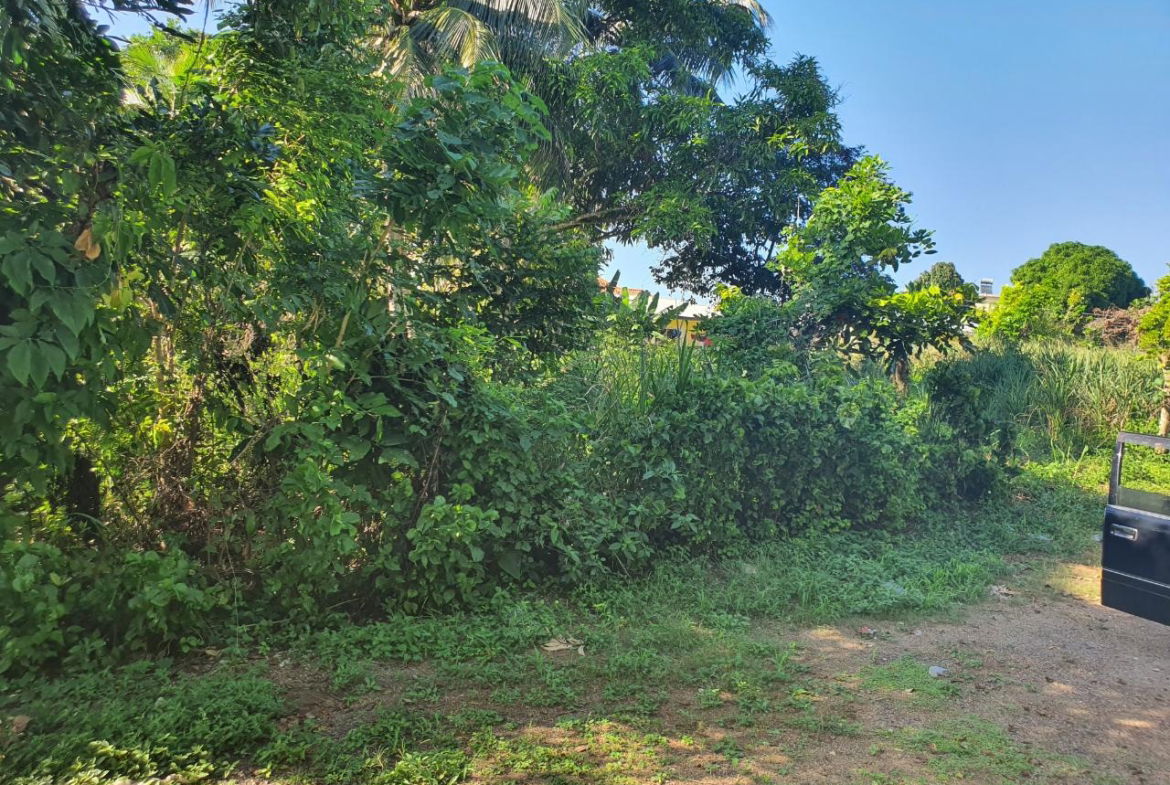 Seventh image of Lot 121 Goldington Avenue , Ocho in Ocho Rios, St. Ann, Jamaica - property is For Sale