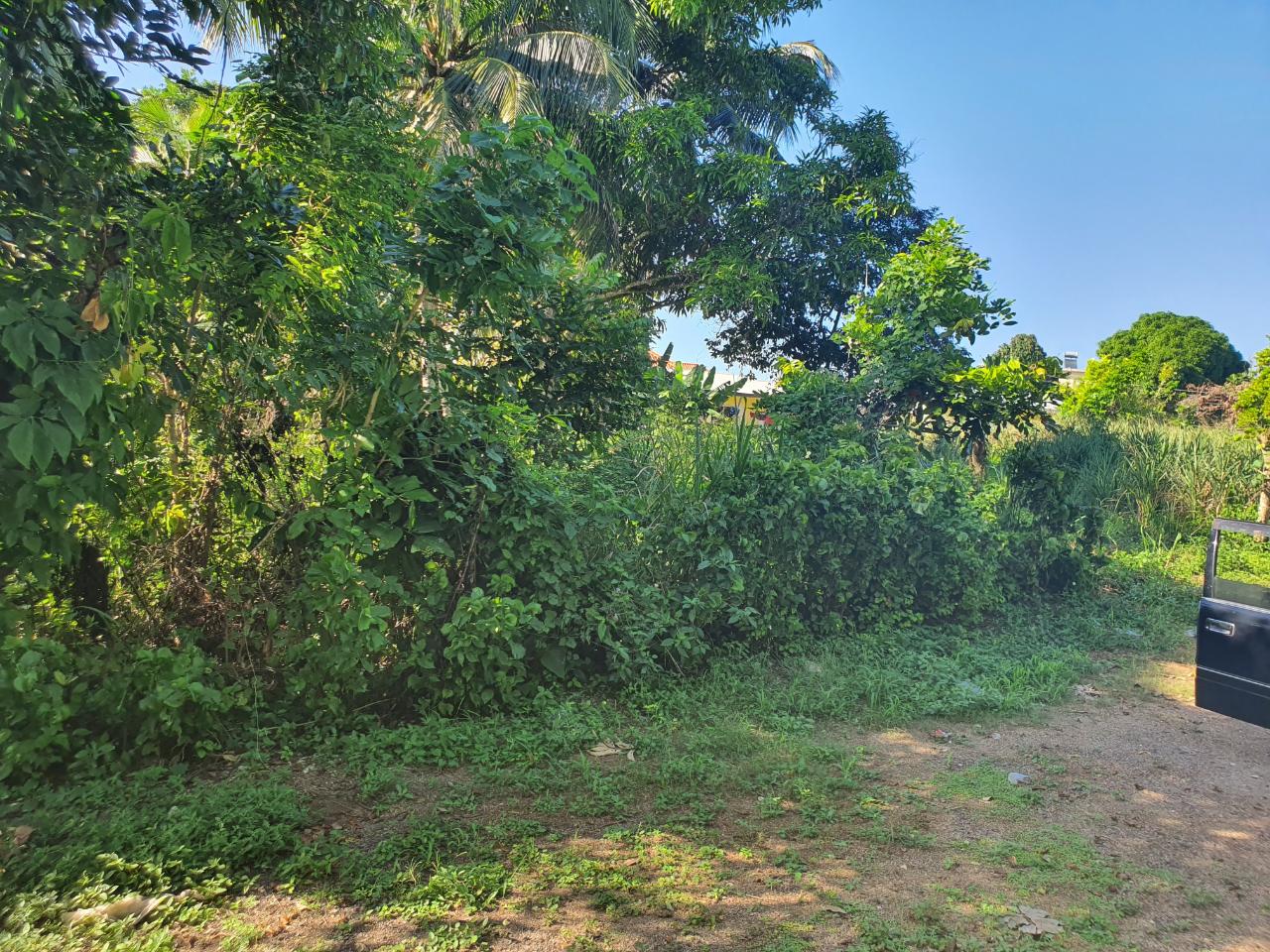 Lot-121-Barnett-Housing-Scheme-Prime-Residential-Land-in-Ocho-Rios Seventh image of Lot 121 Goldington Avenue , Ocho in Ocho Rios, St. Ann, Jamaica - property is For Sale