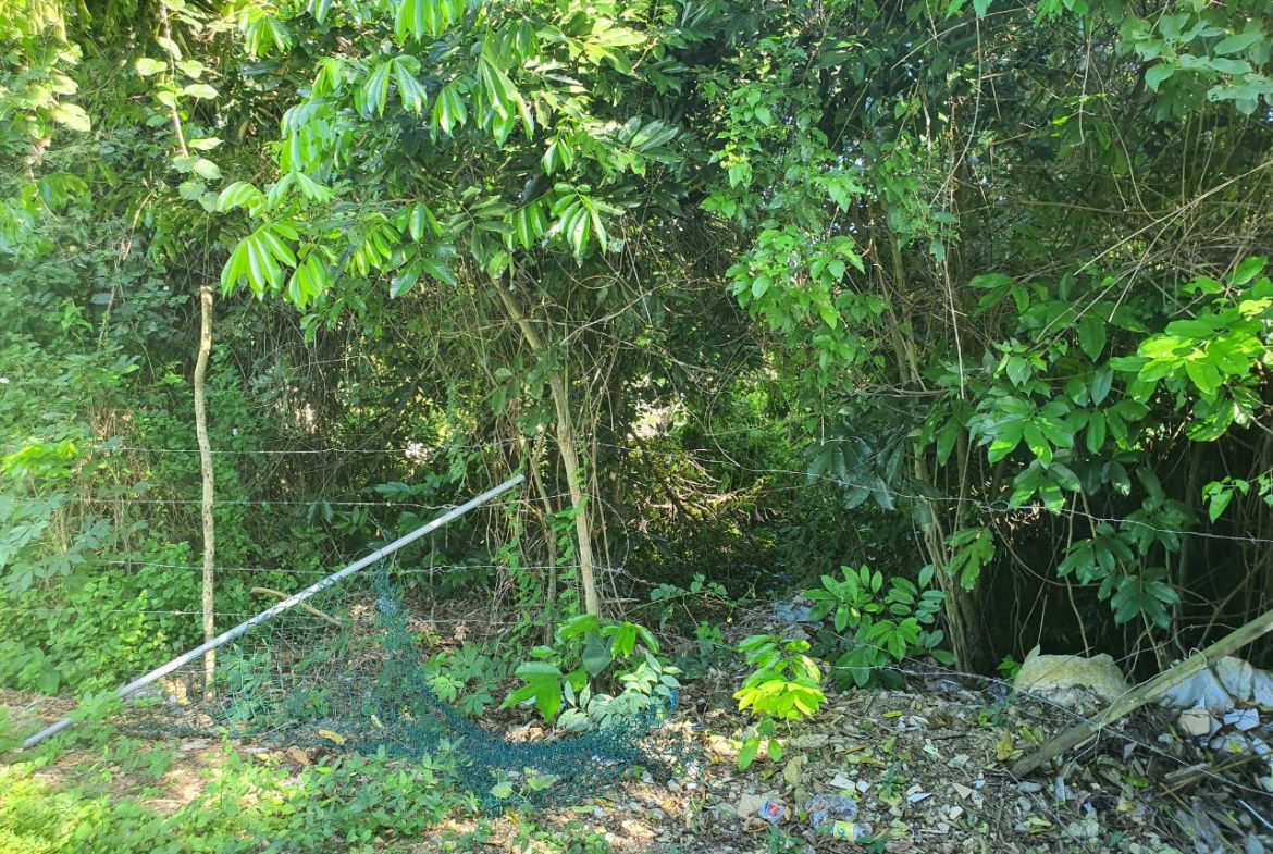 Eighth image of Lot 121 Goldington Avenue , Ocho in Ocho Rios, St. Ann, Jamaica - property is For Sale