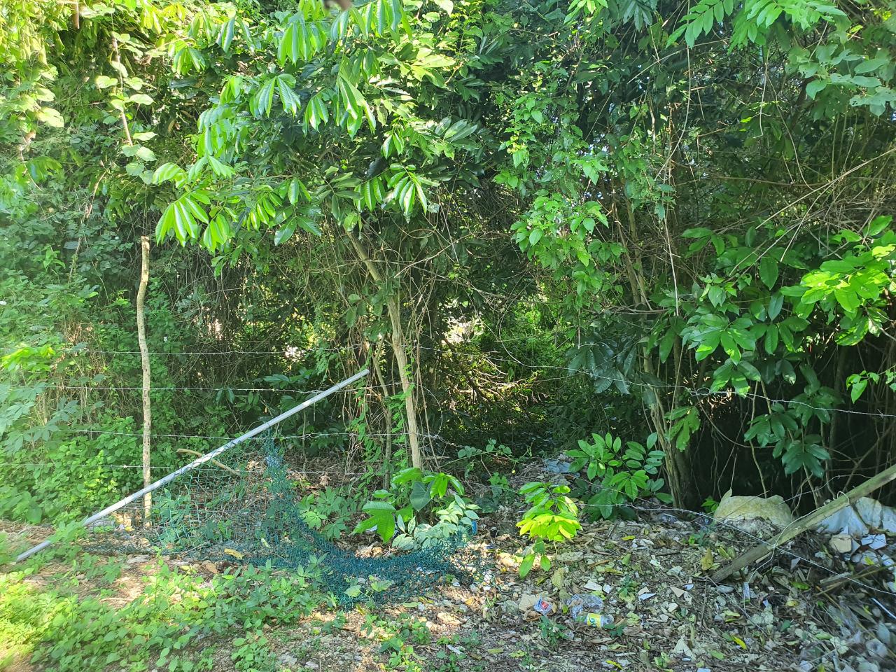 Lot-121-Barnett-Housing-Scheme-Prime-Residential-Land-in-Ocho-Rios Eighth image of Lot 121 Goldington Avenue , Ocho in Ocho Rios, St. Ann, Jamaica - property is For Sale