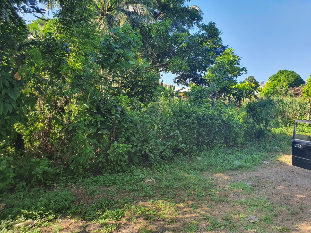 Lot-121-Barnett-Housing-Scheme-Prime-Residential-Land-in-Ocho-Rios Ninth image of Lot 121 Goldington Avenue , Ocho in Ocho Rios, St. Ann, Jamaica - property is For Sale