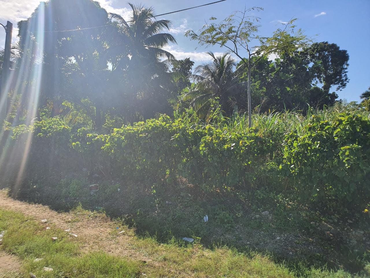 Lot-121-Barnett-Housing-Scheme-Prime-Residential-Land-in-Ocho-Rios Tenth image of Lot 121 Goldington Avenue , Ocho in Ocho Rios, St. Ann, Jamaica - property is For Sale