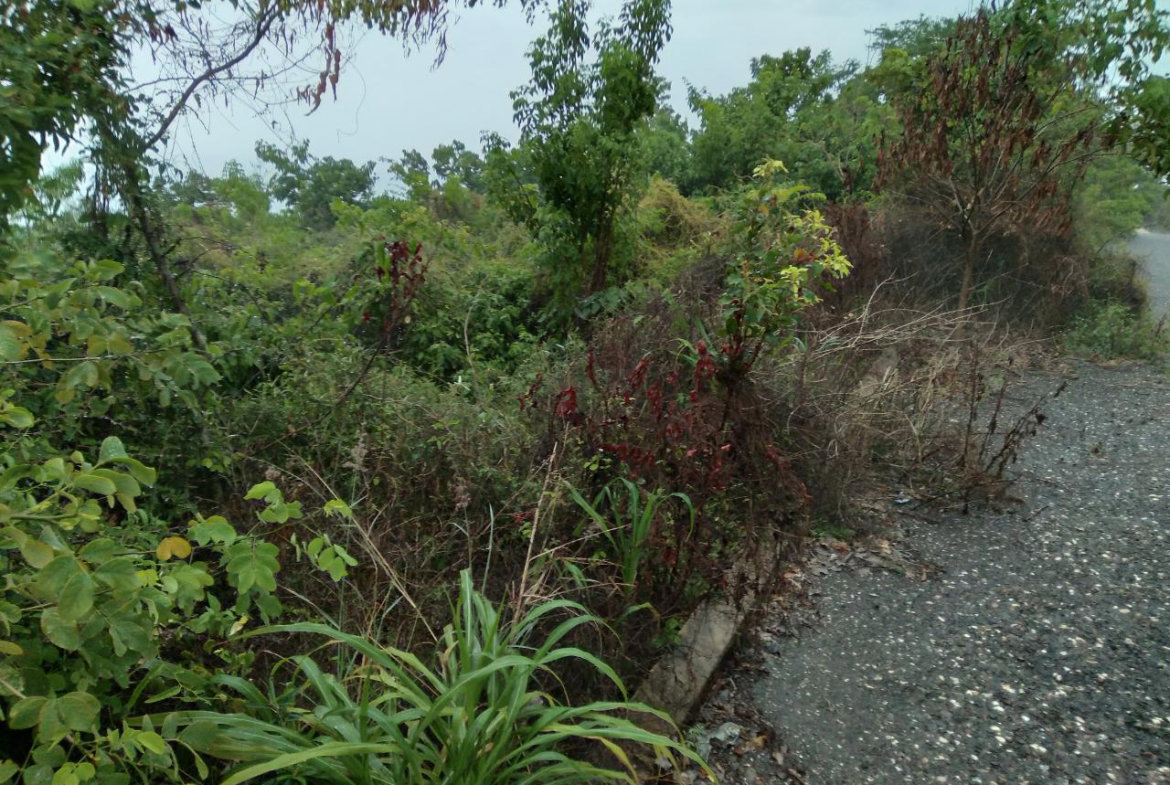 First image of Lot 197-culloden, Culloden in White House WD, Westmoreland, Jamaica - property is For Sale