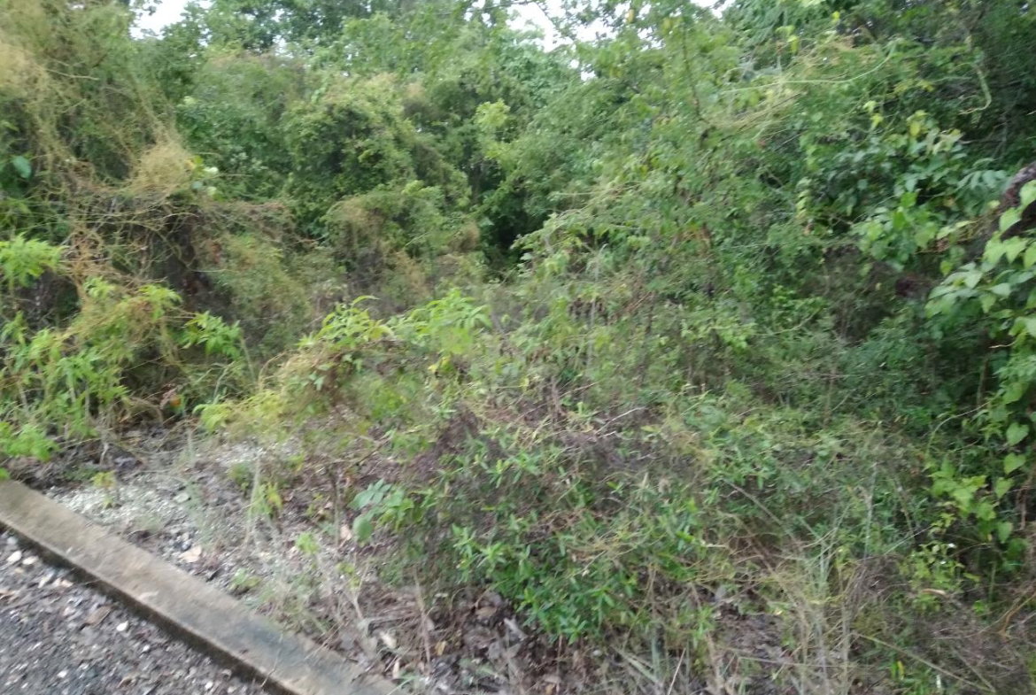 Third image of Lot 197-culloden, Culloden in White House WD, Westmoreland, Jamaica - property is For Sale