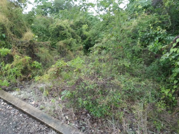 Third image of Lot 197-culloden, Culloden in White House WD, Westmoreland, Jamaica - property is For Sale