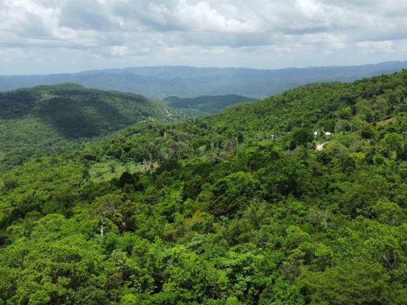 First image of 2 Bogue st Pauls Manchester in St.Pauls, Manchester, Jamaica - property is For Sale