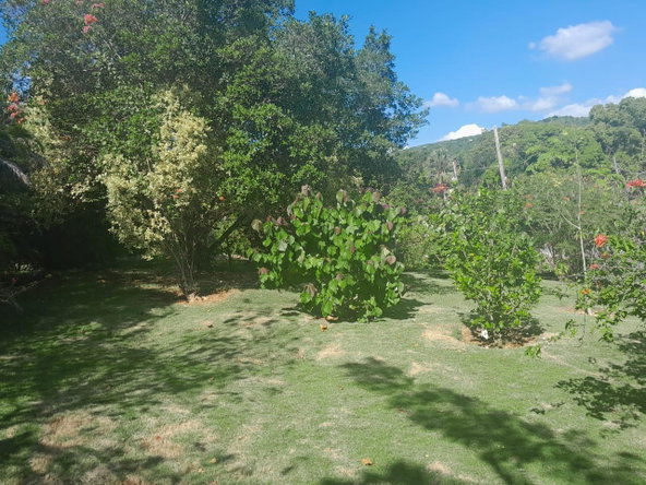 Eleventh image of 292 South Sea Park in White House WD, Westmoreland, Jamaica - property is For Sale