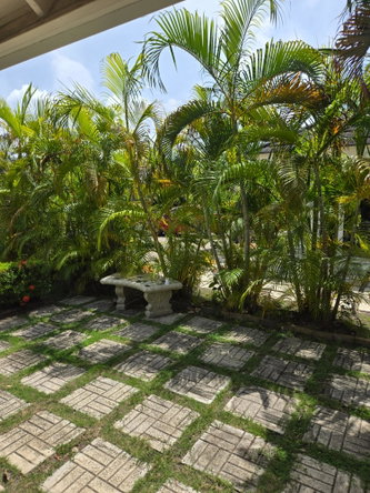 Twenty-Eighth image of Lot 50- Richmond Estate in Plantation Village, St. Ann, Jamaica - property is For Rent