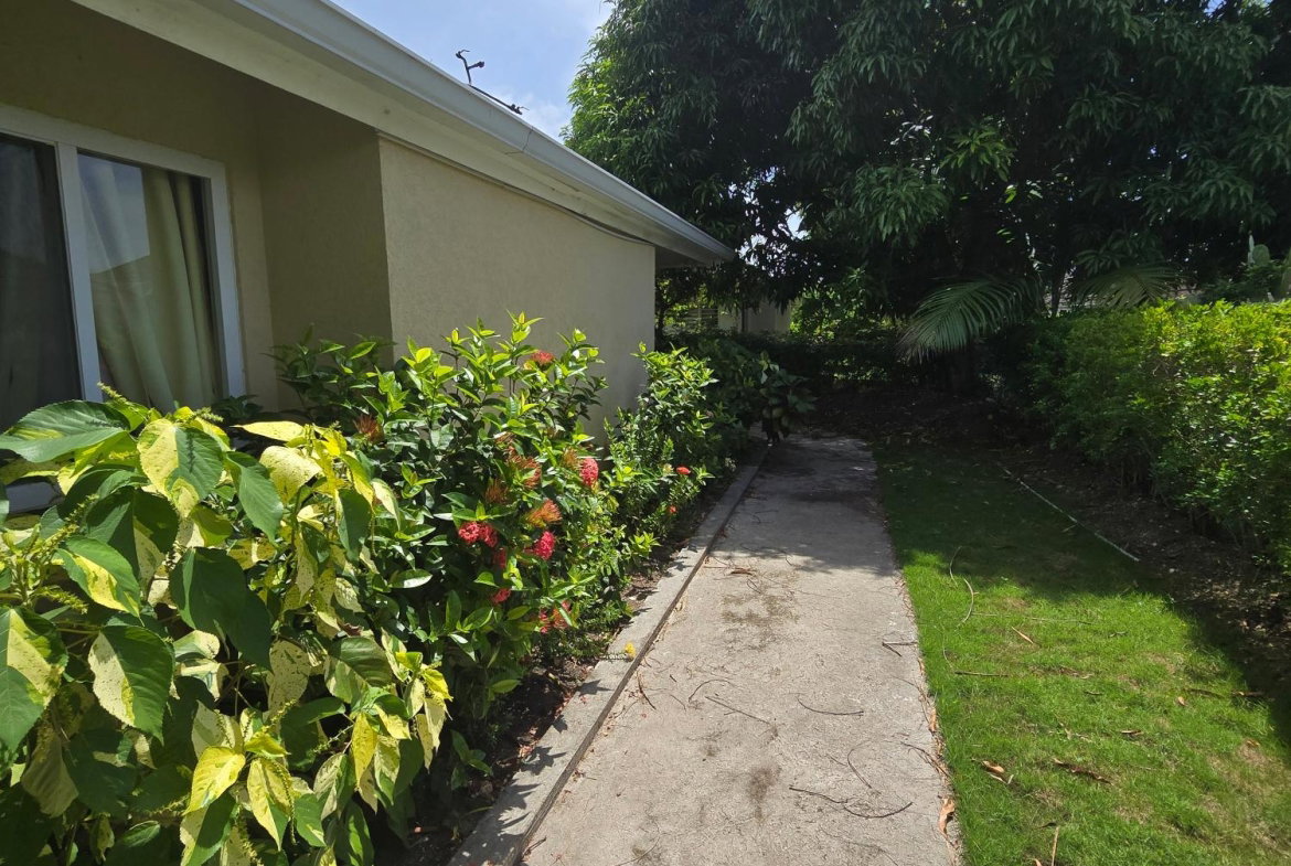 Thirtieth image of Lot 50- Richmond Estate in Plantation Village, St. Ann, Jamaica - property is For Rent