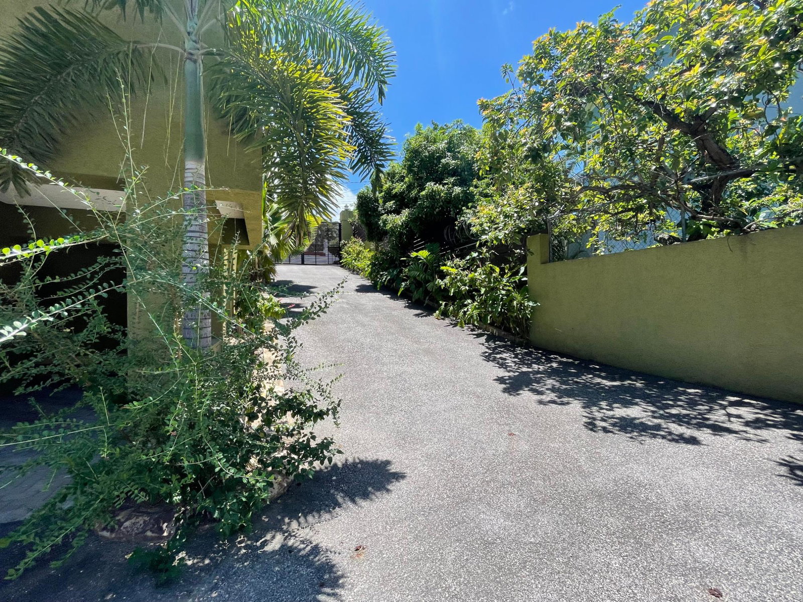 Twenty-Third image of 3-6 Lower Great House Drive in Kingston 8, St. Andrew, Jamaica - property is For Rent