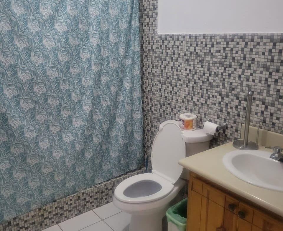 Twelfth image of 7 Belvedere Road, Kingston in Kingston 19, St. Andrew, Jamaica - property is For Rent