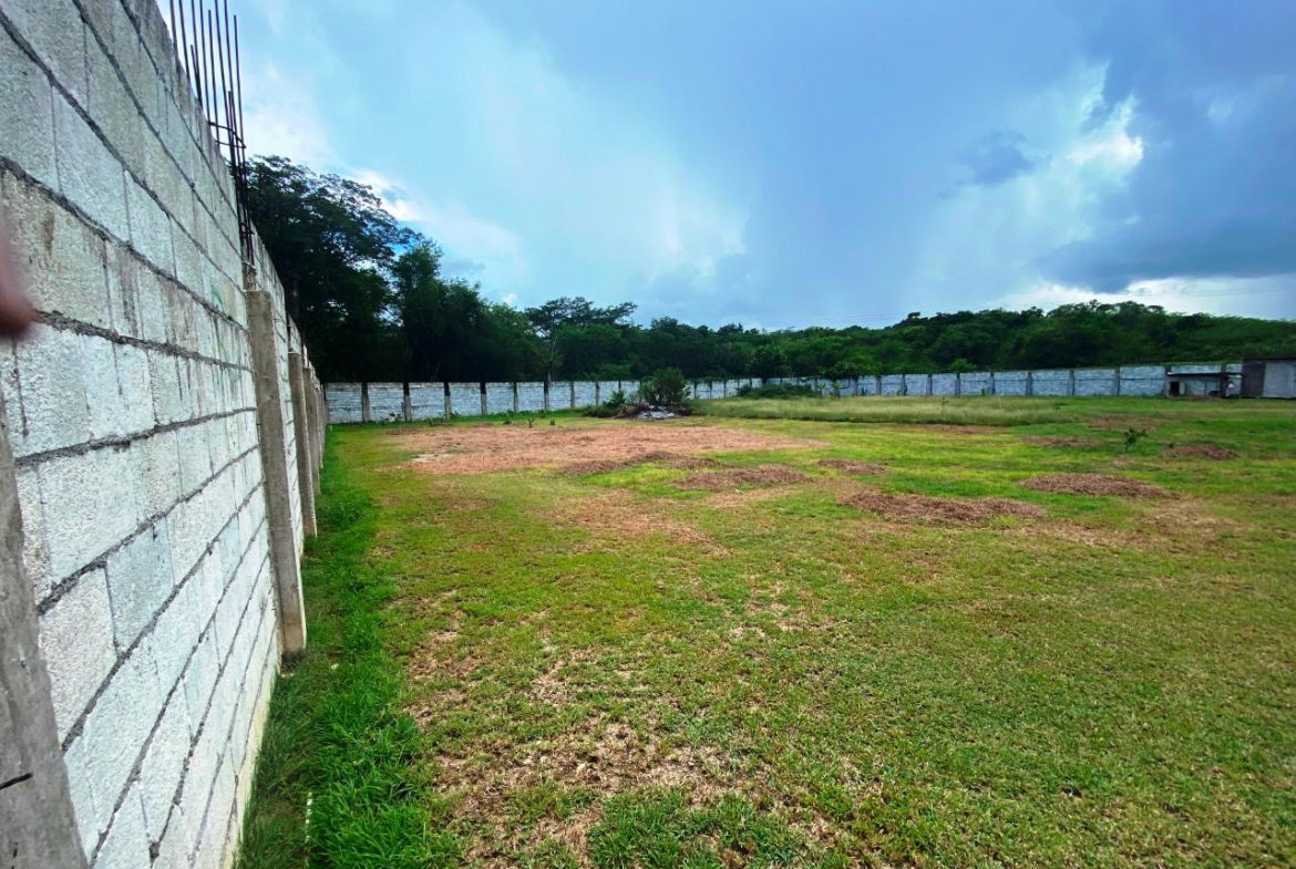 Twenty-First image of Content Adelphi in Adelphi, St. James, Jamaica - property is For Sale