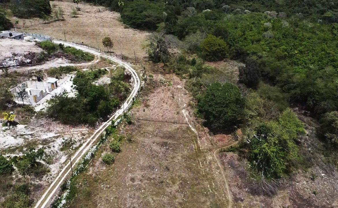 Eighth image of Content Adelphi in Adelphi, St. James, Jamaica - property is For Sale