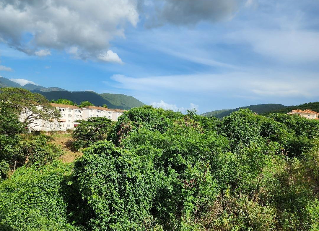 Twenty-Seventh image of #8- Pines Boulevard in Kingston 6, St. Andrew, Jamaica - property is For Sale
