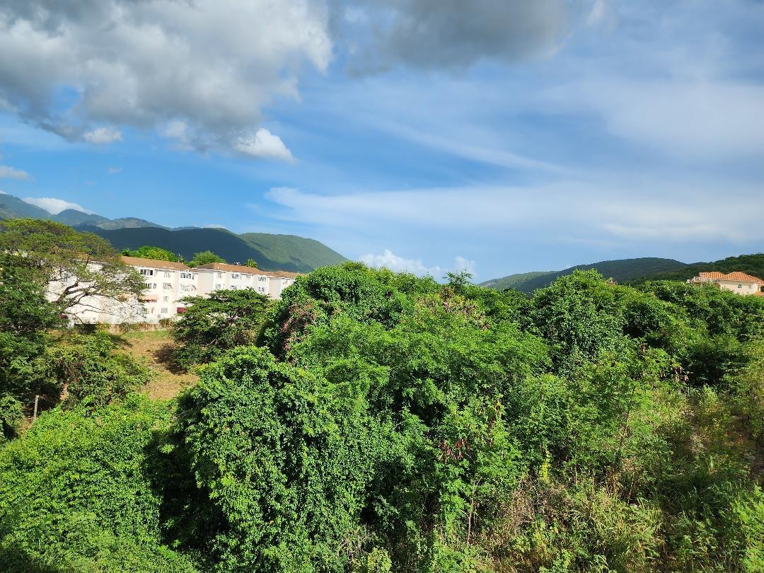 Twenty-Seventh image of #8- Pines Boulevard in Kingston 6, St. Andrew, Jamaica - property is For Sale
