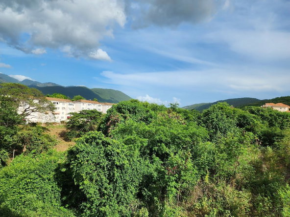 Twenty-Seventh image of #8- Pines Boulevard in Kingston 6, St. Andrew, Jamaica - property is For Sale