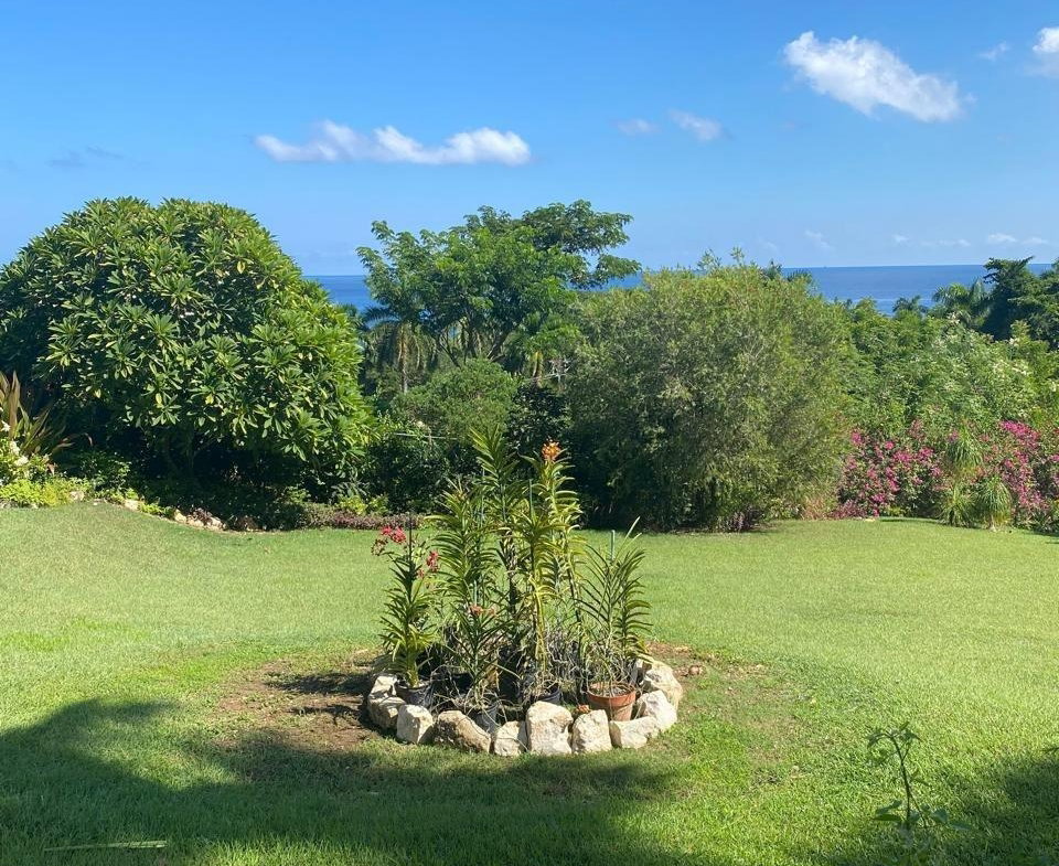 Twentieth image of 1 Pimento Hill, St. James in Reading, St. James, Jamaica - property is For Sale