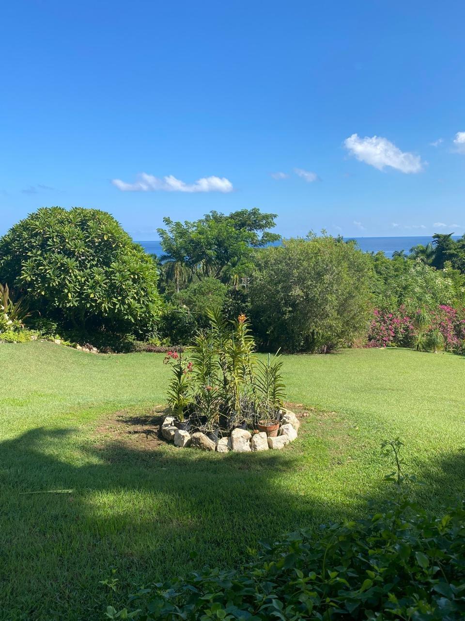 Twentieth image of 1 Pimento Hill, St. James in Reading, St. James, Jamaica - property is For Sale
