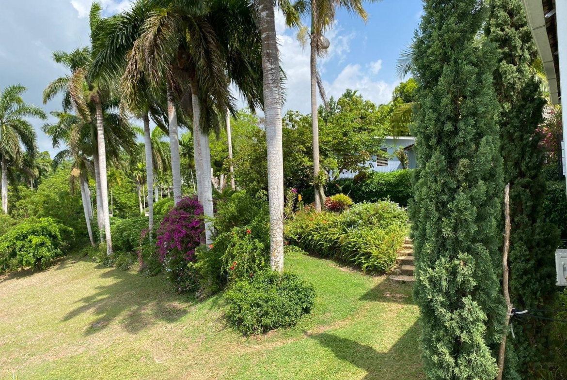 Twenty-Fifth image of 1 Pimento Hill, St. James in Reading, St. James, Jamaica - property is For Sale
