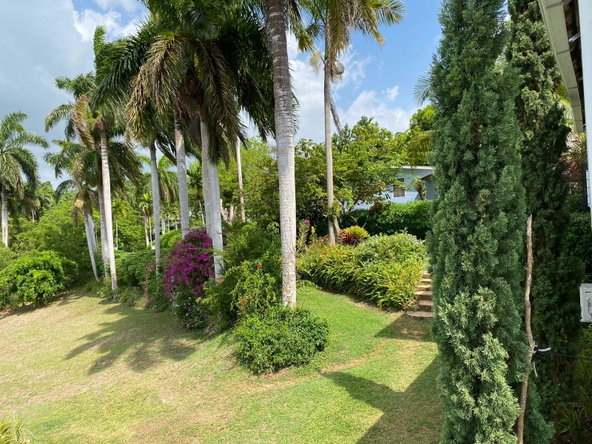 Twenty-Fifth image of 1 Pimento Hill, St. James in Reading, St. James, Jamaica - property is For Sale