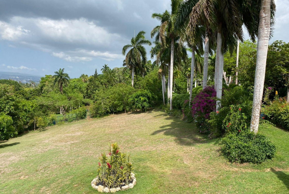 Twenty-Sixth image of 1 Pimento Hill, St. James in Reading, St. James, Jamaica - property is For Sale