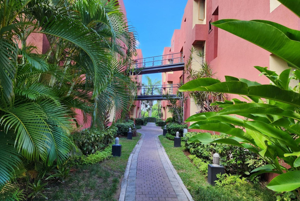 Eighth image of 21-11 Musgrave Avenue in Kingston 5, St. Andrew, Jamaica - property is For Sale