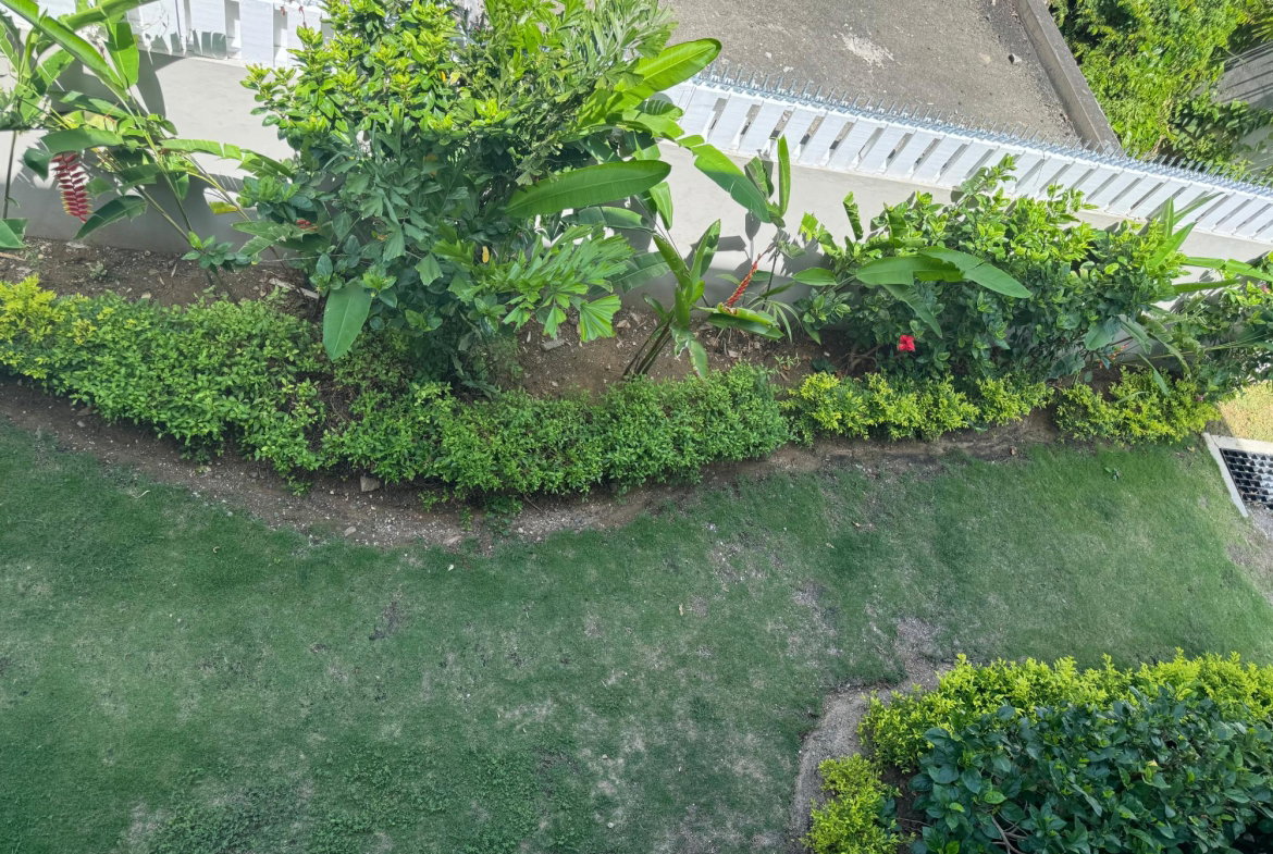 Tenth image of 31-33 Seymour Avenue in Kingston 6, St. Andrew, Jamaica - property is For Rent
