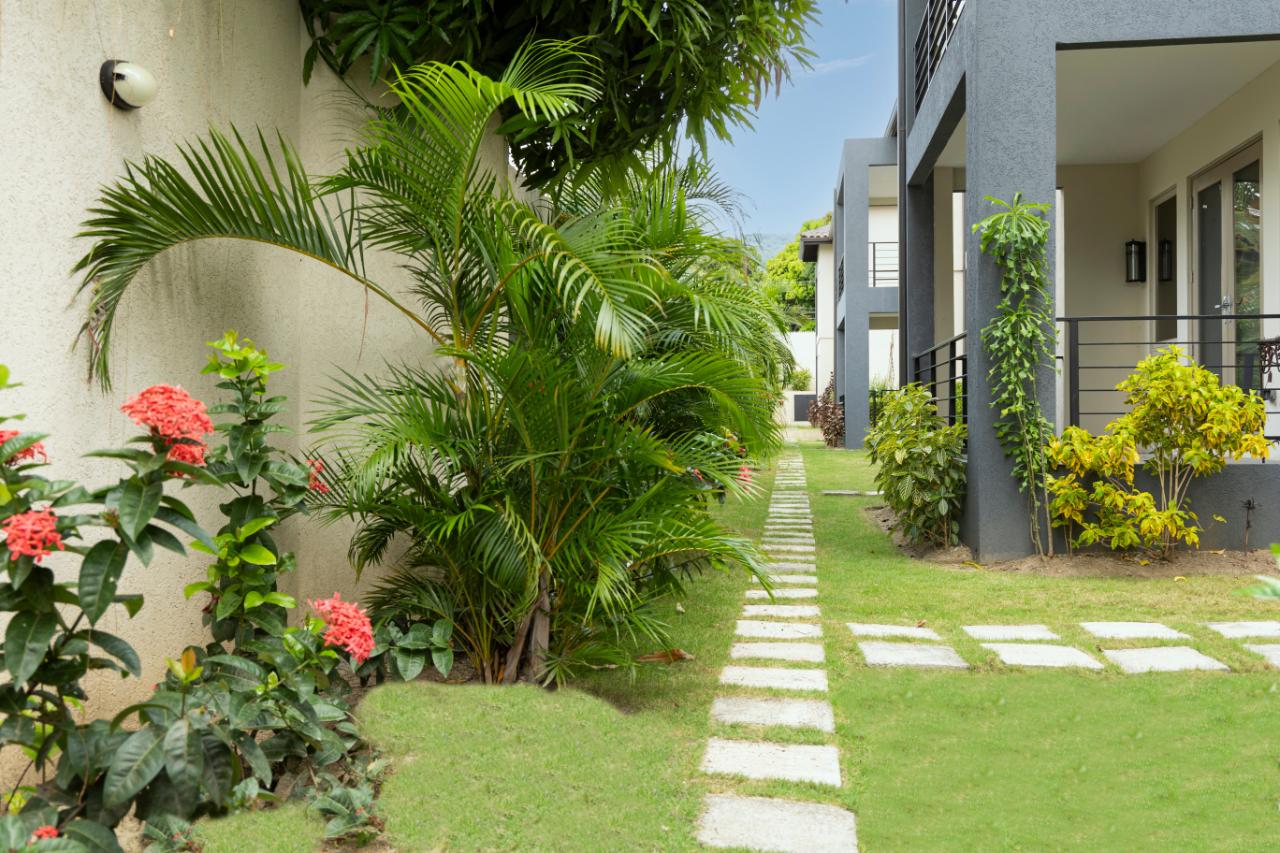 Luxury-2-Bedroom-Apartment-for-Sale-in-Norbrook-Kingston Eighteenth image of C2-54 Norbrook Drive in Norbrook, St. Andrew, Jamaica - property is For Sale