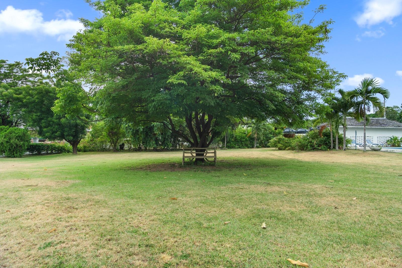 Nineteenth image of 5-1 Norbrook Road in Kingston 8, St. Andrew, Jamaica - property is For Rent