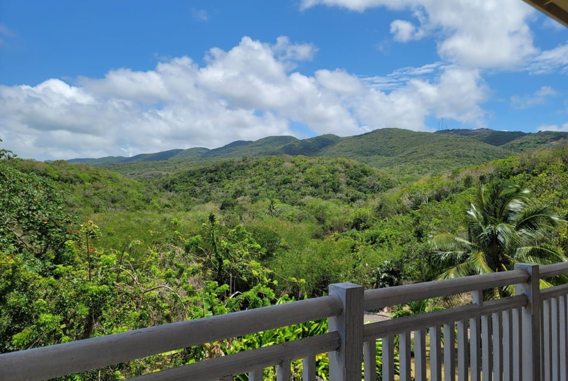 Twenty-Seventh image of 164 Spring Farm, St. James in Rose Hall, St. James, Jamaica - property is For Rent