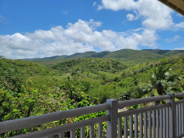 Twenty-Seventh image of 164 Spring Farm, St. James in Rose Hall, St. James, Jamaica - property is For Rent