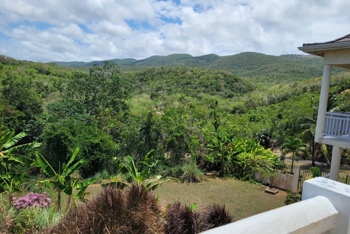 Twenty-Eighth image of 164 Spring Farm, St. James in Rose Hall, St. James, Jamaica - property is For Rent