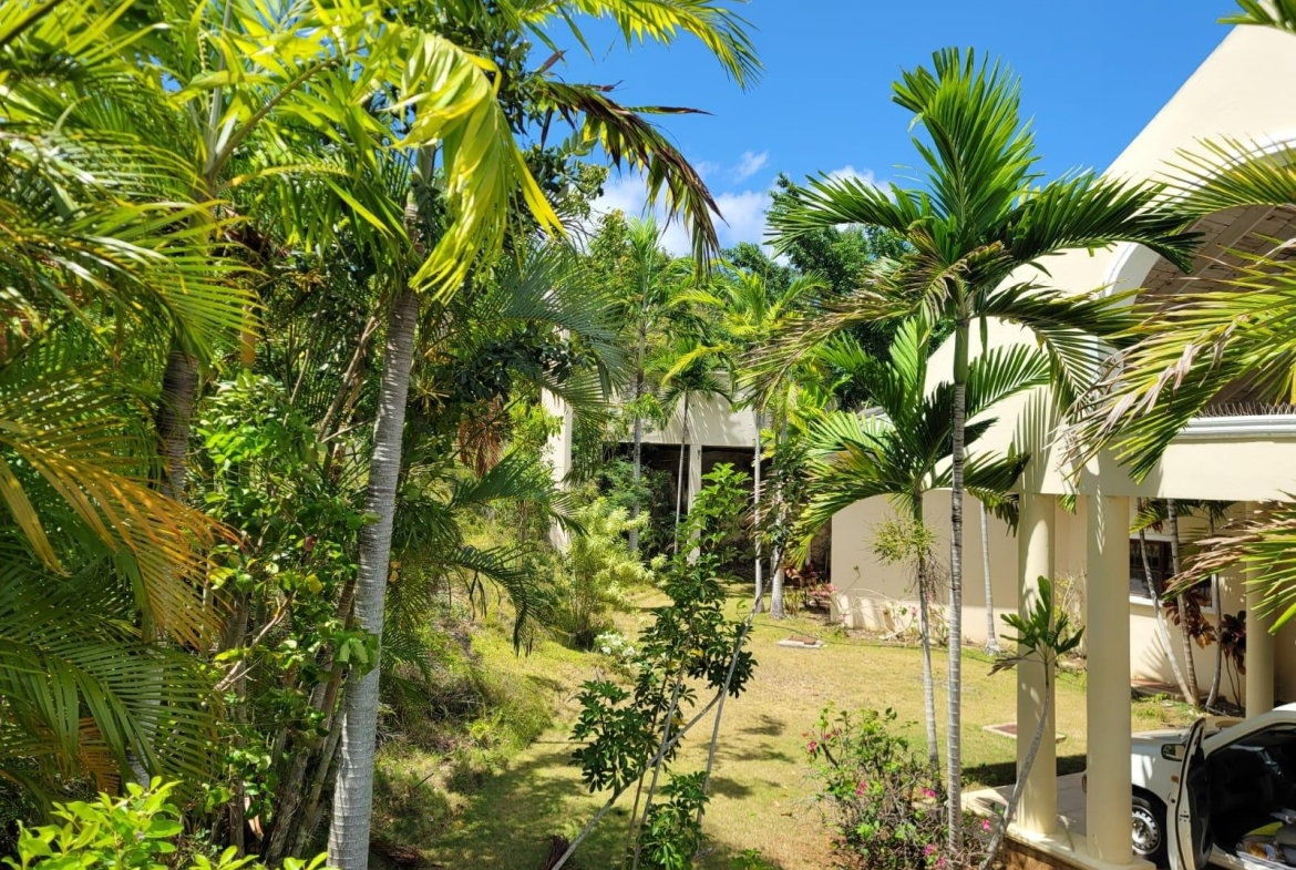 Twenty-Ninth image of 164 Spring Farm, St. James in Rose Hall, St. James, Jamaica - property is For Rent