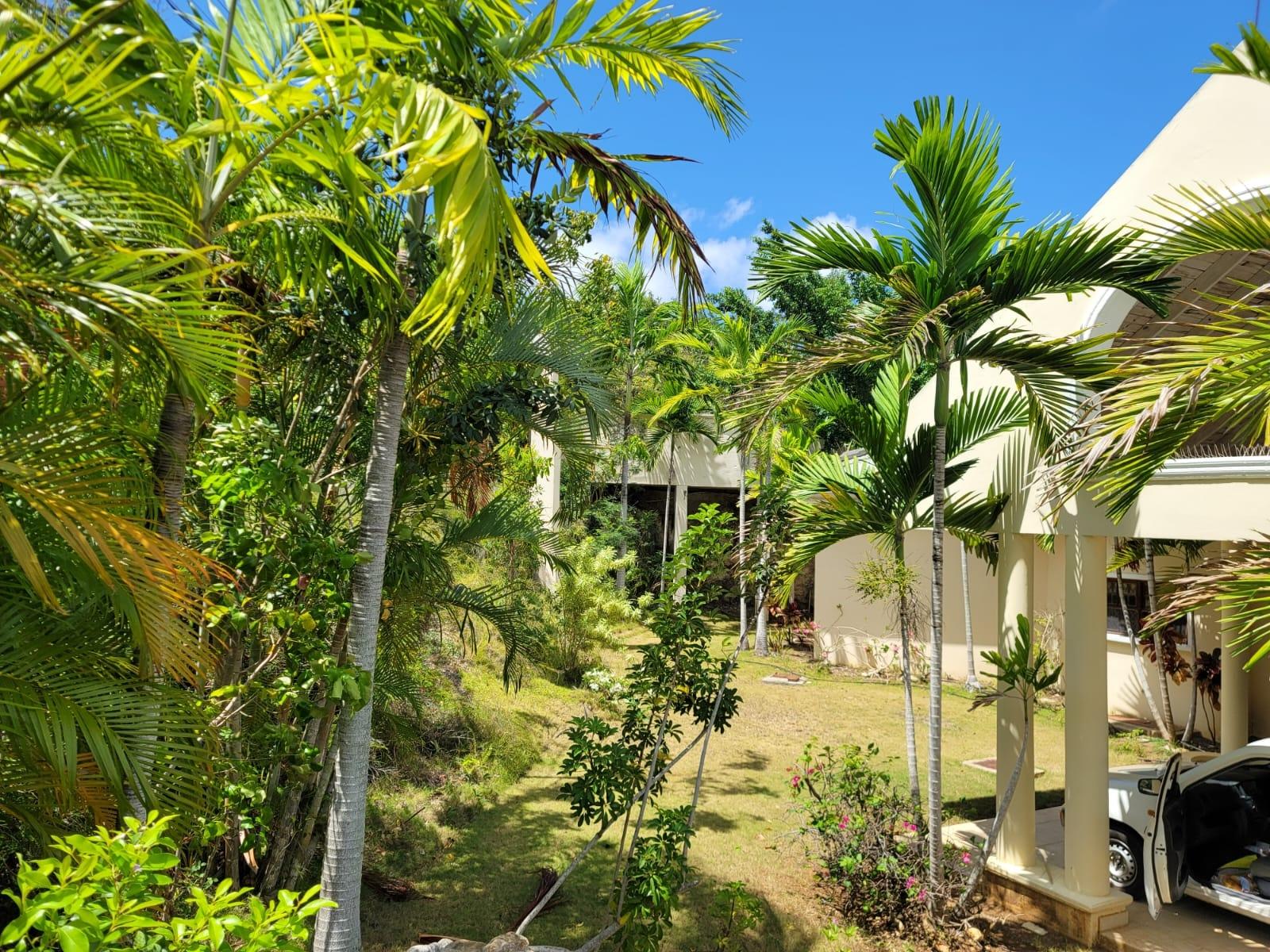 Twenty-Ninth image of 164 Spring Farm, St. James in Rose Hall, St. James, Jamaica - property is For Rent