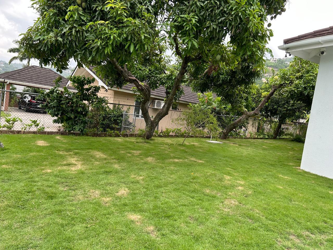 Fourth image of 4 Ebony Glades in Kingston 8, St. Andrew, Jamaica - property is For Rent