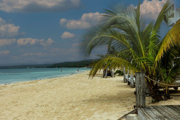 Eighth image of Lot 98 Pratt Crescent, Mammee ba in St. Ann's Bay, St. Ann, Jamaica - property is For Sale