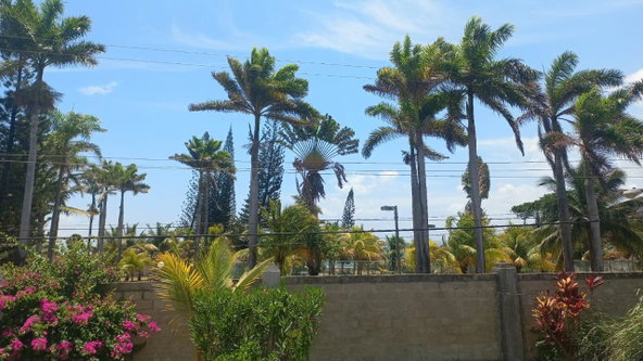 Twentieth image of 19 Beach Road in Mammee Bay Estate, St. Ann, Jamaica - property is For Sale