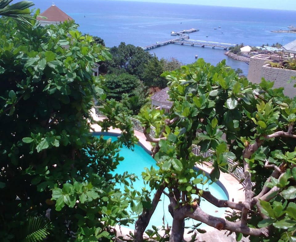 Fifth image of Apt A2-phase 3 Columbus Heights, Ocho ri in Ocho Rios, St. Ann, Jamaica - property is For Sale